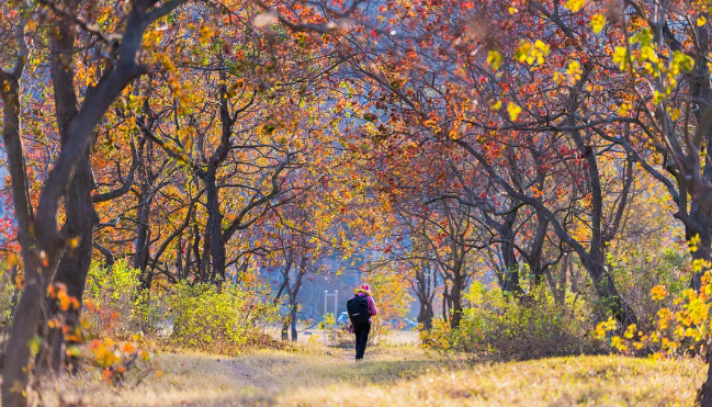 111731312586131458.png image.png