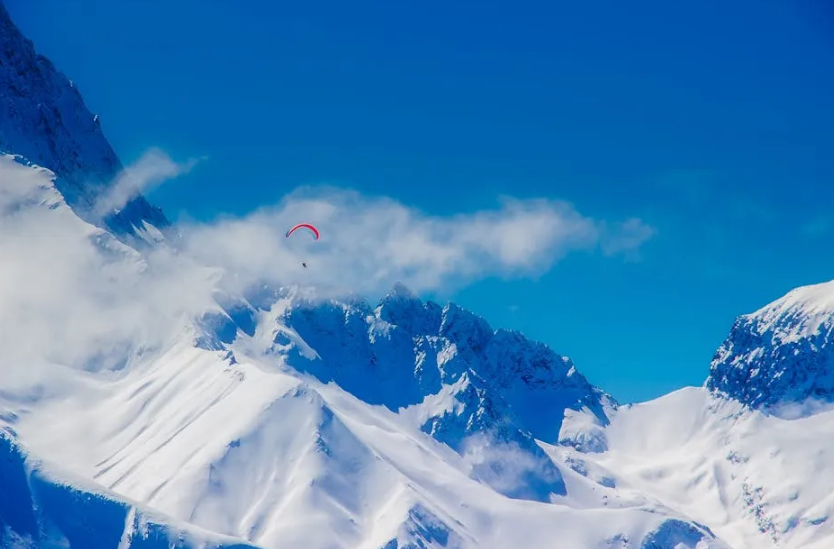 161747382999386611.png image.png